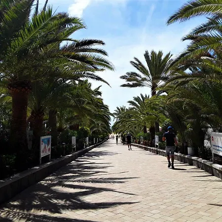شقة Avenida Tirajana Nº3